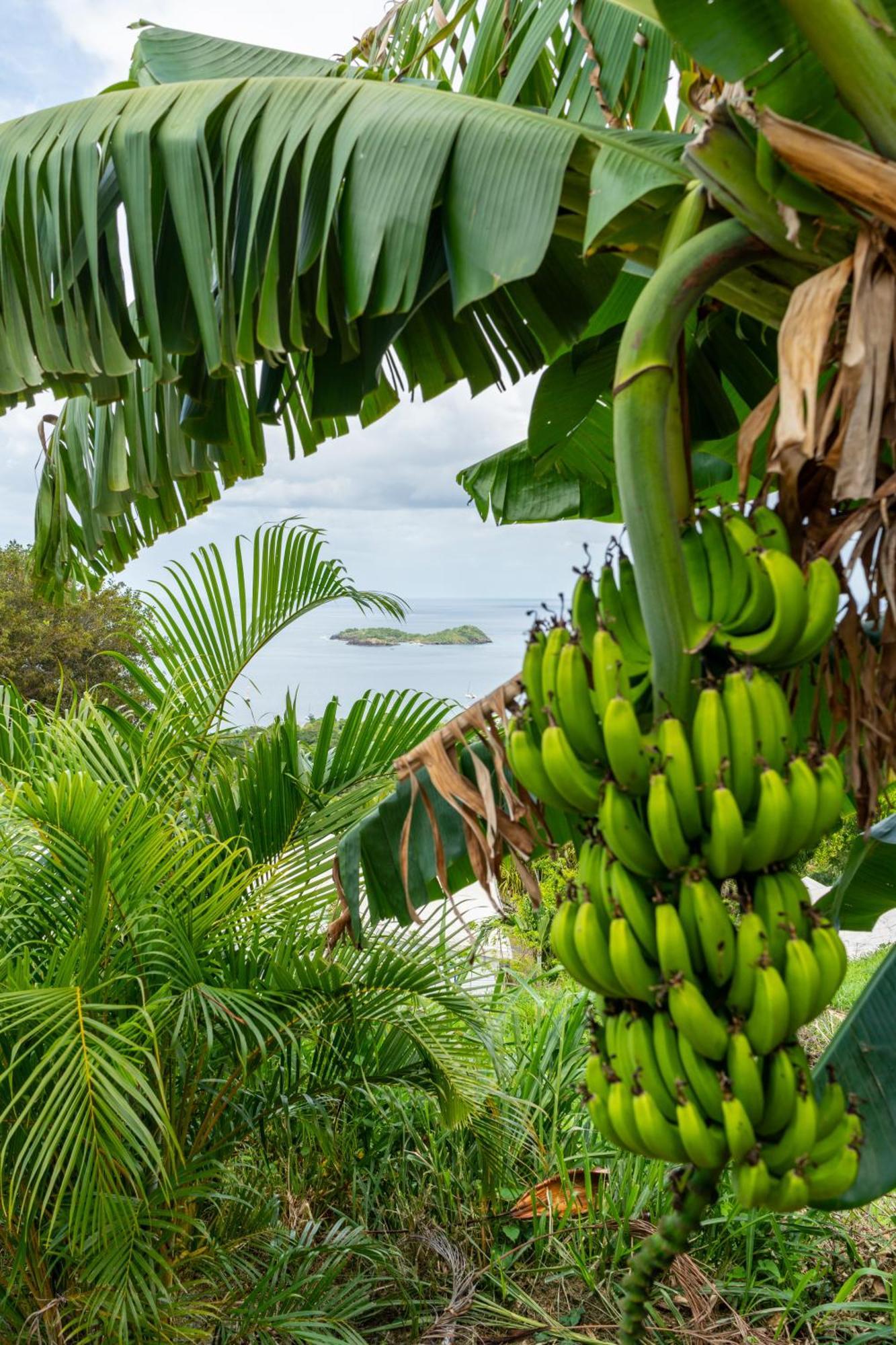 Calypso Bay Villa Bouillante Eksteriør billede